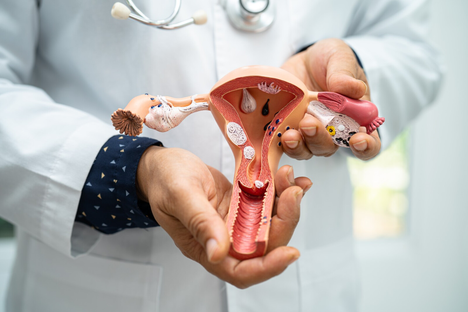 Course 02 &mdash; in development